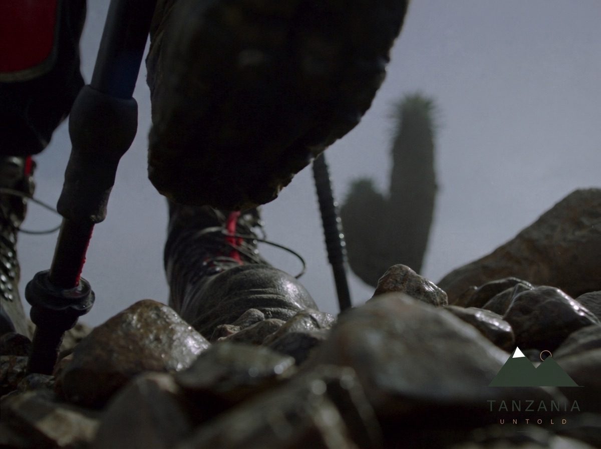 Climbing Kilimanjaro: A Traveler's Guide to the Roof of Africa